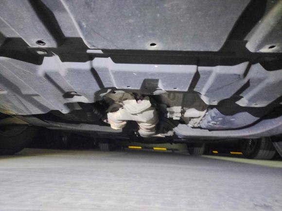 [上海·沪L] 二手日产天籁2011款 2.5L XL领先版