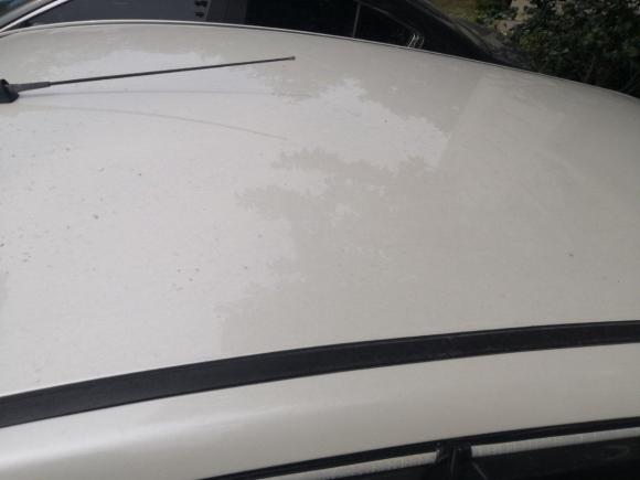 [上海·苏A] 二手长安奔奔2014款 1.4L 手动豪华型