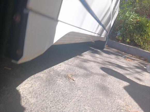 [青岛·鲁B] 二手比亚迪比亚迪e22019款 标准续航版 智·舒适型