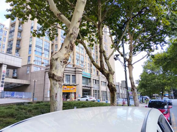 [南京·苏A] 二手丰田逸致2014款 星耀 180E CVT精英版