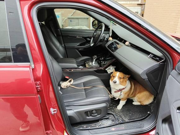 [南京·苏A] 二手路虎揽胜极光2020款 249PS R-DYNAMIC S 运动版