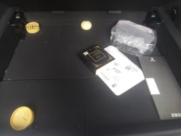 [上海·沪A] 二手蔚来蔚来ES62020款 430KM 性能版