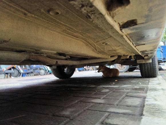 [常州·苏D] 二手广汽传祺传祺GS42016款 235T G-DCT豪华版