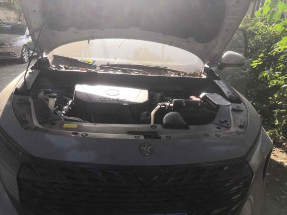 [成都·渝A] 二手启辰启辰大V2021款 260T 爱豆版