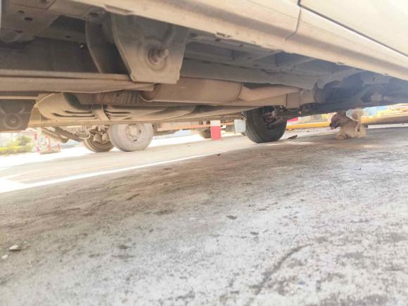 [上海·沪B] 二手福特全顺2017款 2.0T柴油多功能商用车中轴中顶国V