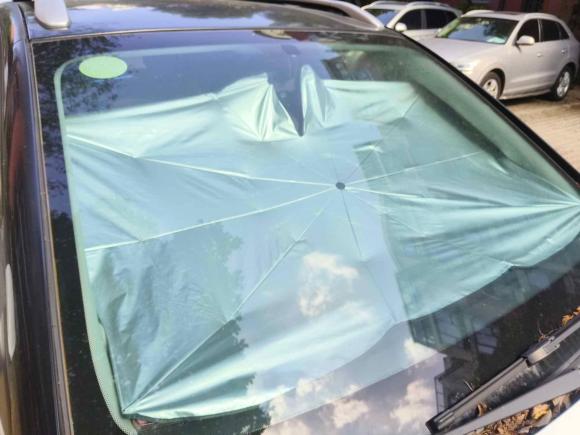 [上海·沪A] 二手奇瑞新能源小蚂蚁2018款 4座智炫版