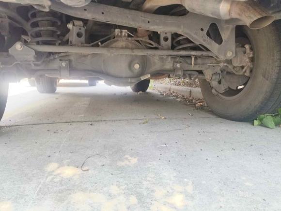 [常州·苏D] 二手坦克坦克3002021款 越野版 2.0T 征服者