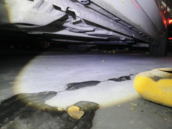 [上海·苏E] 二手别克君威2017款 20T 豪华型