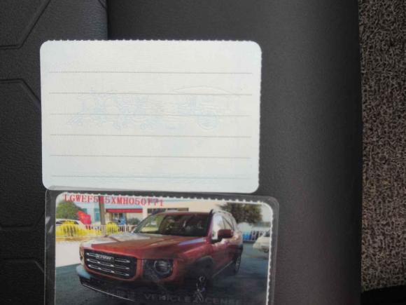 [温州·浙C] 二手哈弗哈弗大狗2021款 1.5T DCT两驱边牧-旺财版