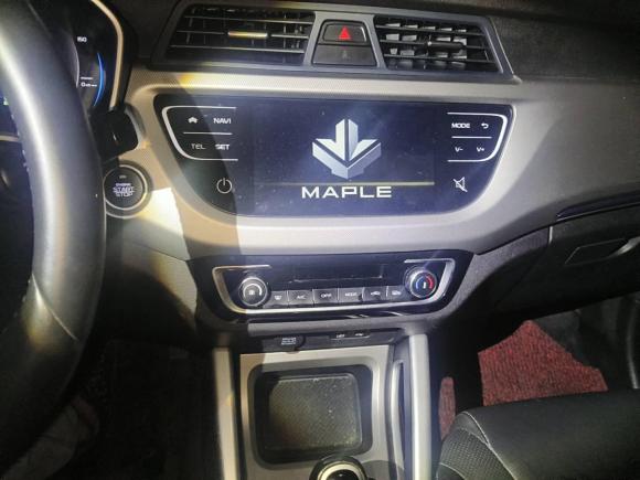 [苏州·苏E] 二手睿蓝汽车枫叶30X2020款 风尚版