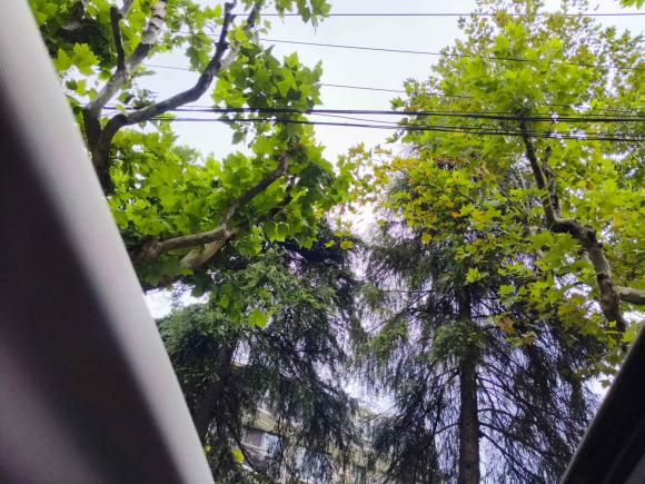 [上海·沪G] 二手名爵锐腾2017款 20T 自动尊享版