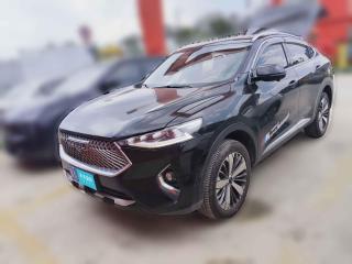 哈弗哈弗F7x2021款 2.0T 两驱极智潮玩版