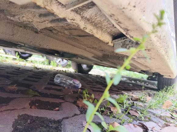 [上海·苏F] 二手奔腾奔腾B302016款 1.6L 自动豪华型