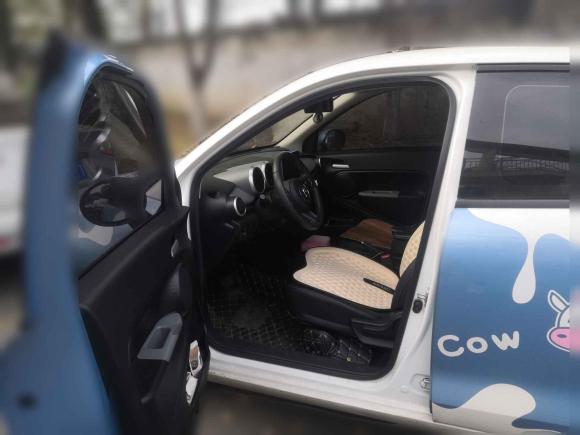 [成都·川A] 二手欧拉欧拉黑猫2019款 351km 亲子版