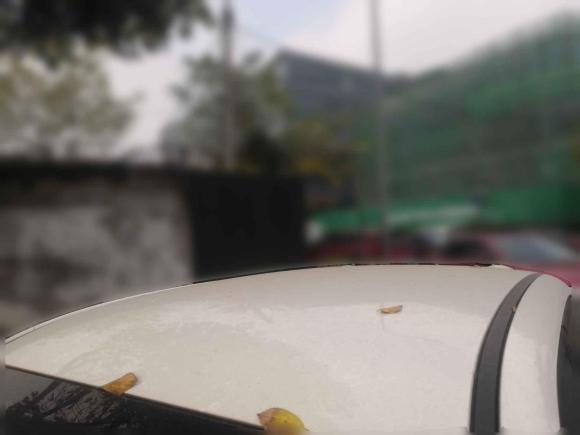 [成都·川A] 二手欧拉欧拉黑猫2019款 351km 亲子版