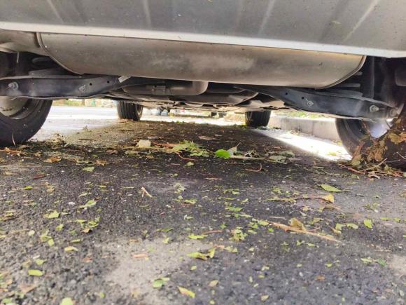 [上海·皖D] 二手奥迪奥迪Q2L2022款 35 TFSI 时尚致雅型