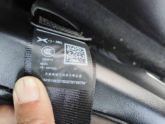 [合肥·皖A] 二手小鹏小鹏P72020款 670E