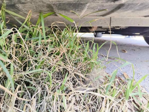 [济南·苏U] 二手别克君威2019款 20T 精英型 国VI