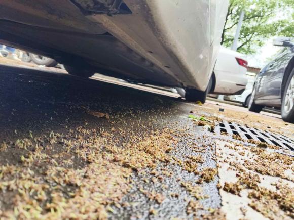 [金华·浙G] 二手宝马宝马5系2010款 530Li 领先型