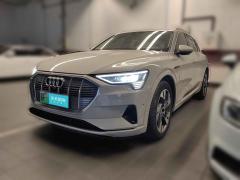 [北京·冀F]奥迪&nbsp;&nbsp;奥迪e-tron&nbsp;&nbsp;2019款55quattro技术型
