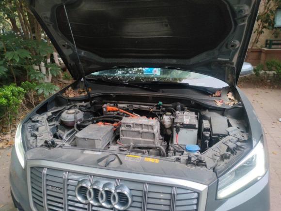 [上海·沪A] 二手奥迪奥迪Q2L e-tron2019款 Q2L e-tron 纯电智享型