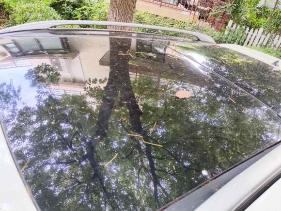 [上海·沪A] 二手雷诺科雷傲2012款 2.5L 四驱舒适导航版