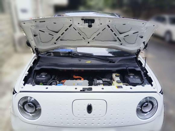 [合肥·皖A] 二手欧拉欧拉黑猫2021款 351km 豪华型