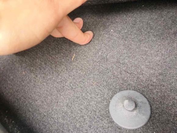 [湖州·浙G] 二手福特翼搏2013款 1.5L 自动风尚型