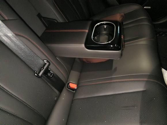 [武汉·鄂A] 二手小鹏小鹏P72022款 480E