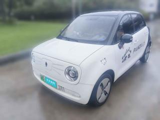 欧拉欧拉黑猫2022款 301km 基础型 三元锂