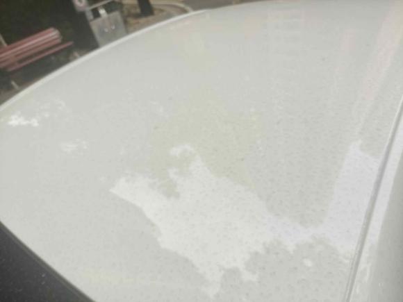 [武汉·鄂A] 二手雪佛兰科鲁泽2020款 320 自动悦享版