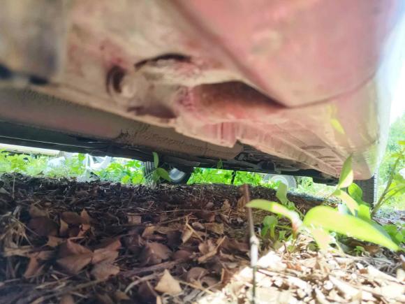 [苏州·苏E] 二手长安逸动DT2018款 1.6L 自动智享型