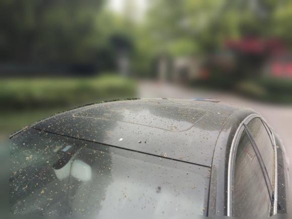 [上海·苏D] 二手奥迪奥迪A6L2011款 2.0 TFSI 自动标准型