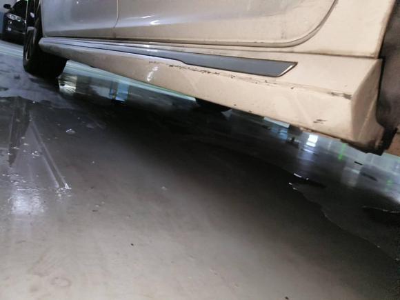 [杭州·浙A] 二手奇瑞艾瑞泽GX2019款 Pro 1.5T CVT型色版 国VI