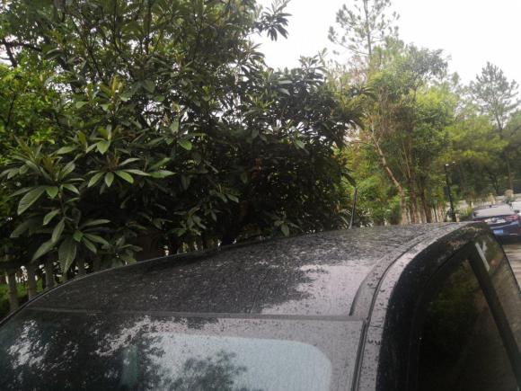 [嘉兴·浙F] 二手奇瑞新能源QQ冰淇淋2022款 甜筒