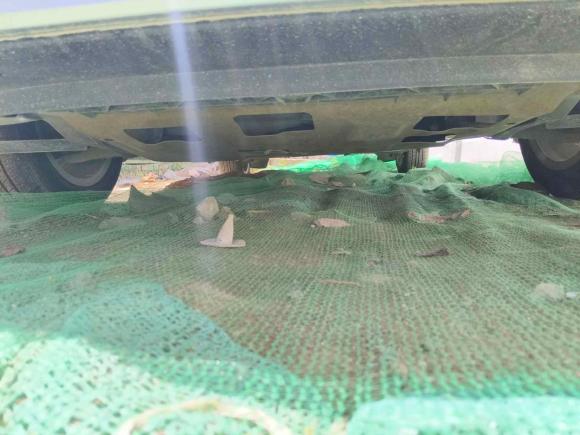 [西安·陕A] 二手大众捷达2015款 质惠版 1.6L 手动舒适型