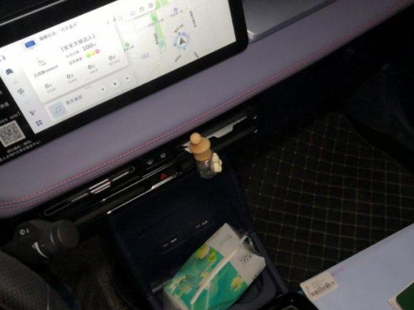 [成都·川A] 二手几何汽车几何E2022款 401KM 玲珑虎 4座