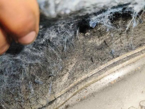 [佛山·粤X] 二手本田凌派2016款 1.8L CVT舒适版