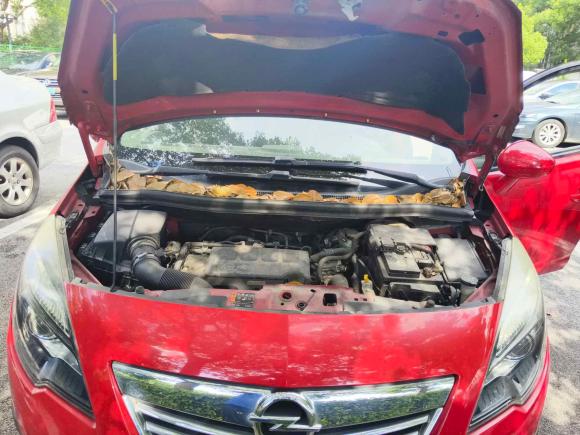 [上海·沪B] 二手欧宝麦瑞纳2013款 1.4T 豪华型