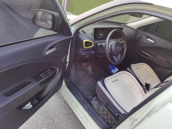 [杭州·浙A] 二手欧拉欧拉白猫2020款 305km 豪华型