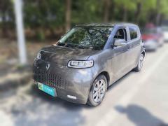 [上海·沪A]欧拉  欧拉白猫  2020款 360km 豪华型