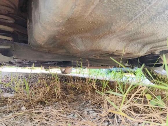 [广州·粤W] 二手本田飞度2011款 1.5L 自动豪华版