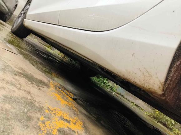 [成都·川B] 二手长安逸动2021款 PLUS 蓝鲸NE 1.4T GDI DCT尊贵型