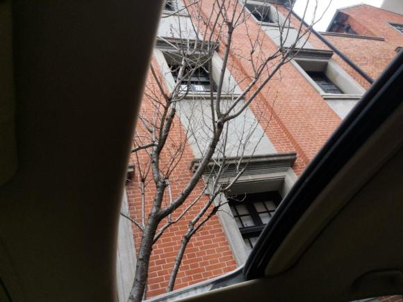 [上海·沪A] 二手本田雅阁2008款 2.0L EX