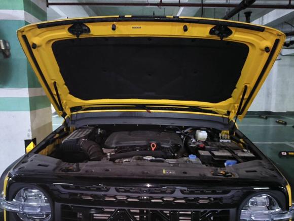 [上海·沪E] 二手坦克坦克3002022款 2.0T 边境限定版