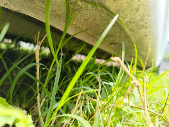 [西安·陕A] 二手起亚起亚K22017款 三厢 1.4L MT GLS