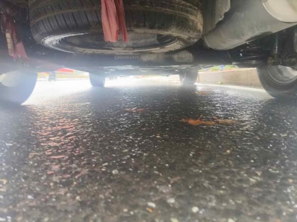 [青岛·鲁B] 二手长安凌轩2017款 1.6L 手动幸福型