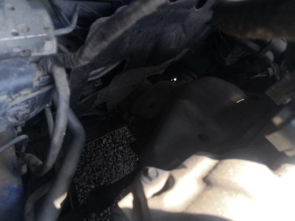 [上海·苏H] 二手日产骊威2008款 1.6L 自动炫能型