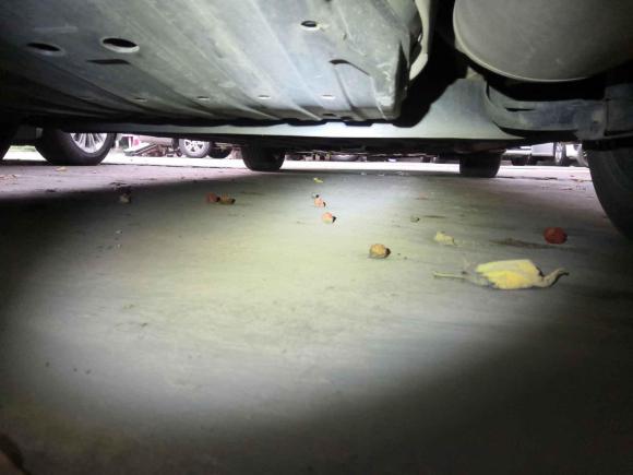 [合肥·皖A] 二手本田凌派2019款 180Turbo CVT豪华版 国VI