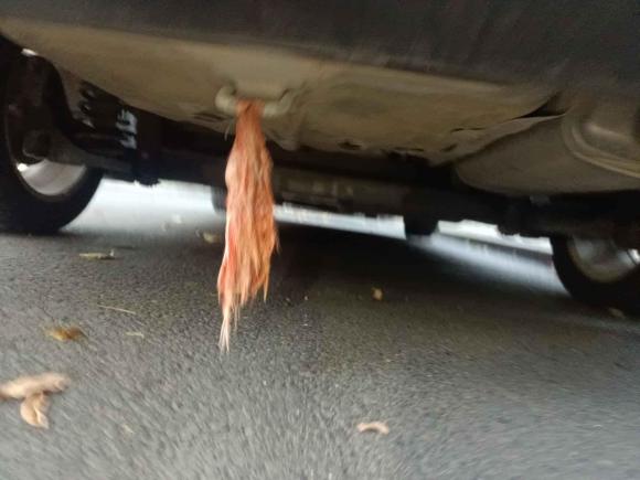 [无锡·苏B] 二手起亚起亚K32013款 1.6L 自动GLS